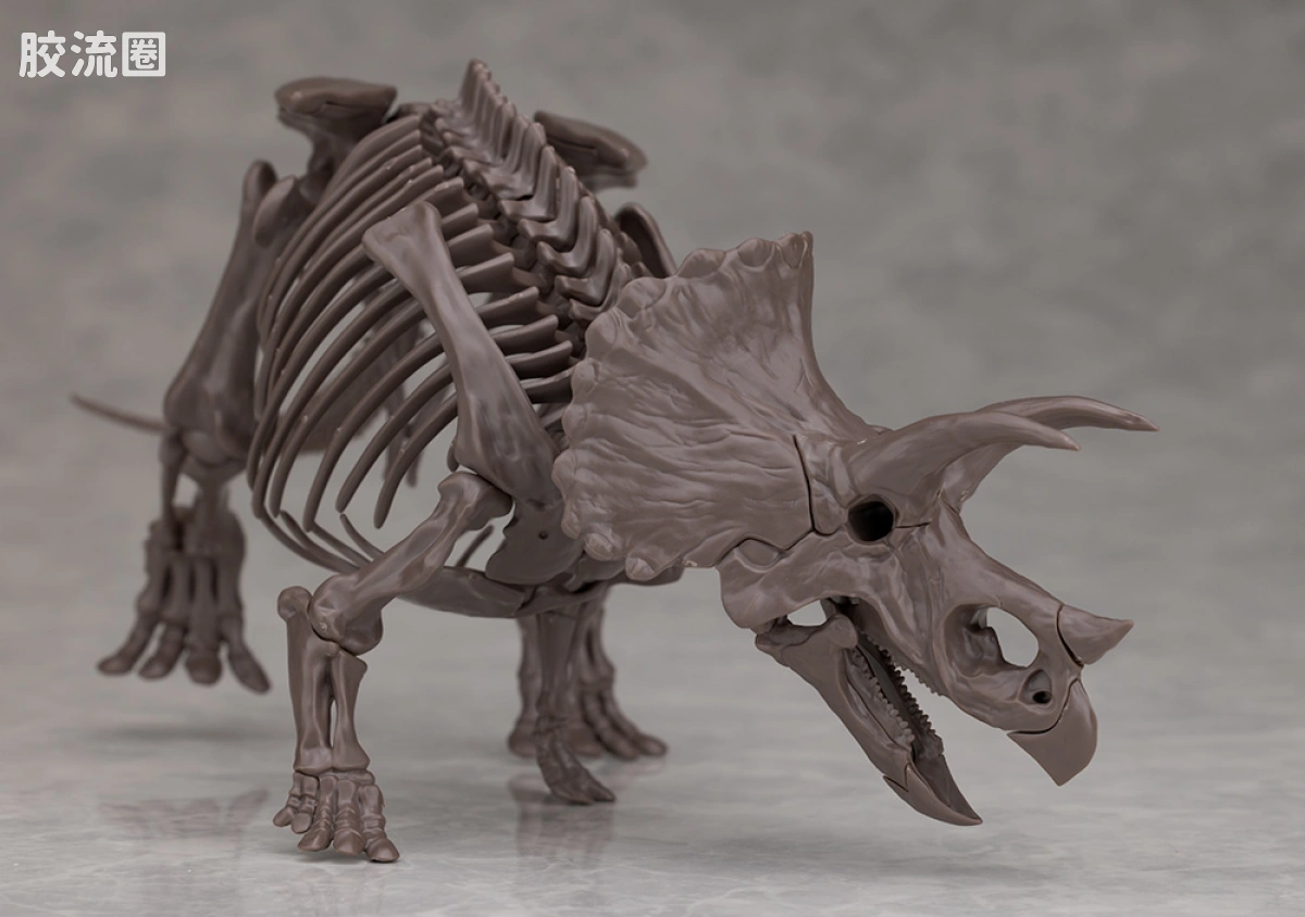 万代综合拼装模型系列 Imaginary Skeleton系列 三角龙 - 图片